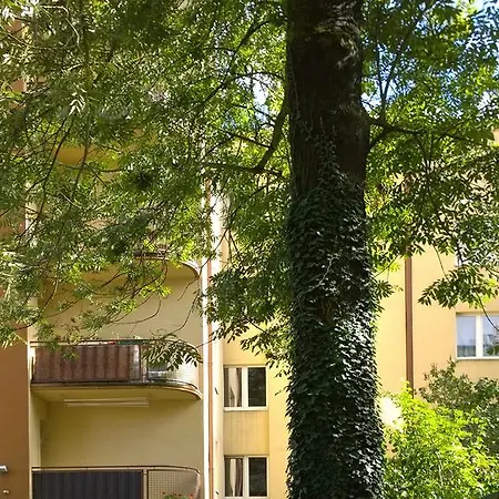 W Krakowie * Krakow