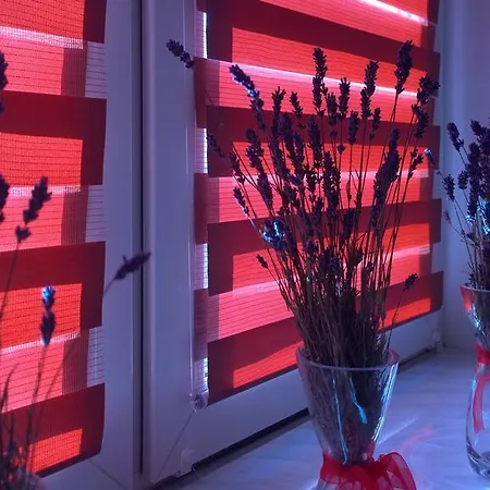 W Krakowie Apartamento